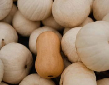 tartinade de pois chiche, butternut et chevre